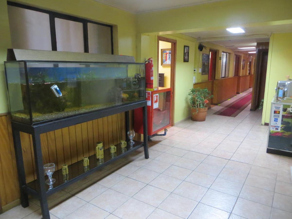 Hostal Rayen Centro Temuco Ngoại thất bức ảnh