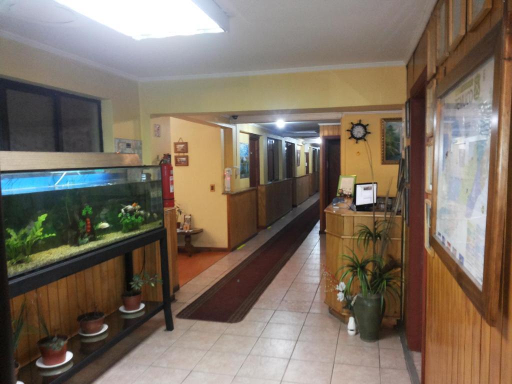 Hostal Rayen Centro Temuco Ngoại thất bức ảnh
